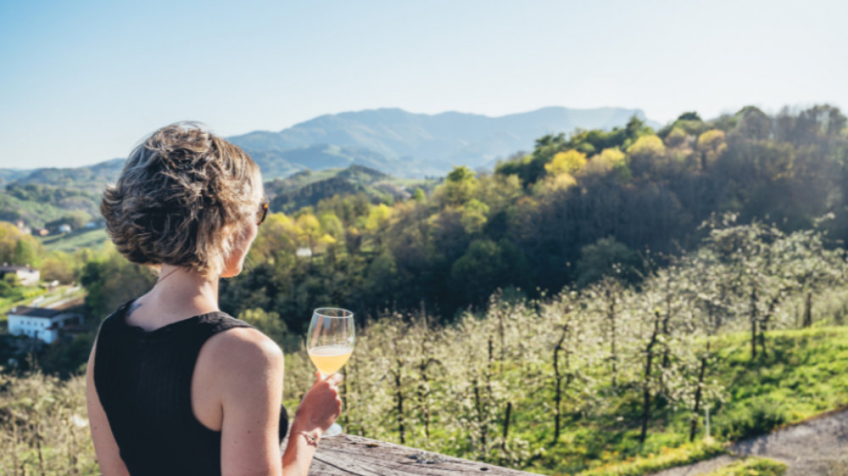 Visita guiadas en 12 Bodegas de Sidra vascas
